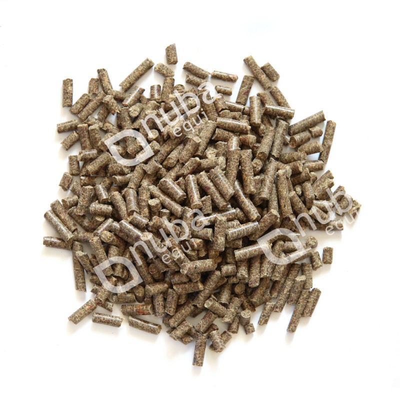 Řepné řízky Speedy Beet Mix, 20 kg